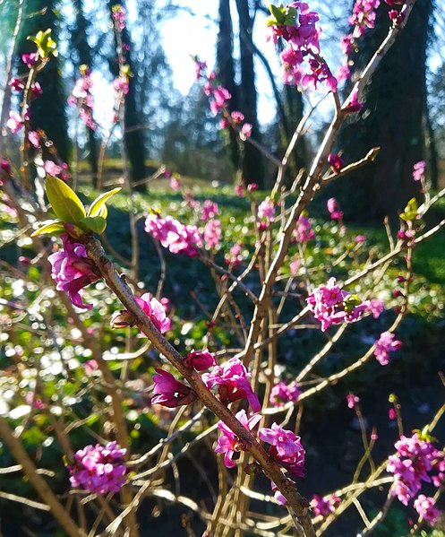 2022.03.17 Okolice Rzeszowa z seniorami (archiwum)